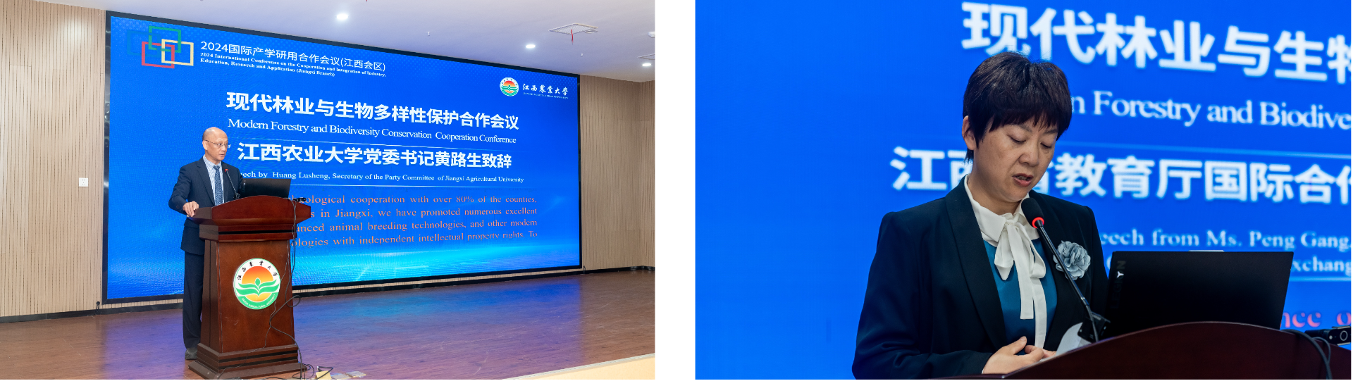 imageMerge2024-10-28 11:34:20 .png